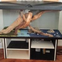 ACQUARIO CON MOBILETTO 