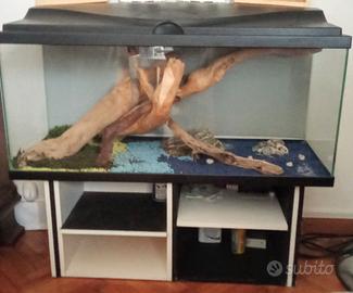 ACQUARIO CON MOBILETTO 