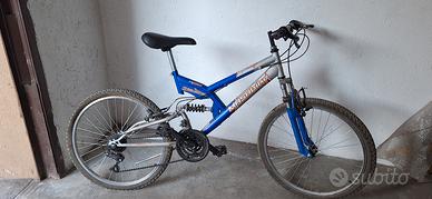 bicicletta per ragazzo 