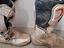 Immagine 2