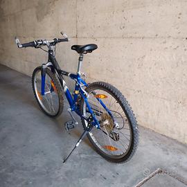 Bicicletta da ragazzo