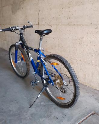 Bicicletta da ragazzo