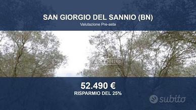 Immobile in asta di 94562 m² a San Giorgio del San