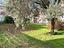 Immagine 25