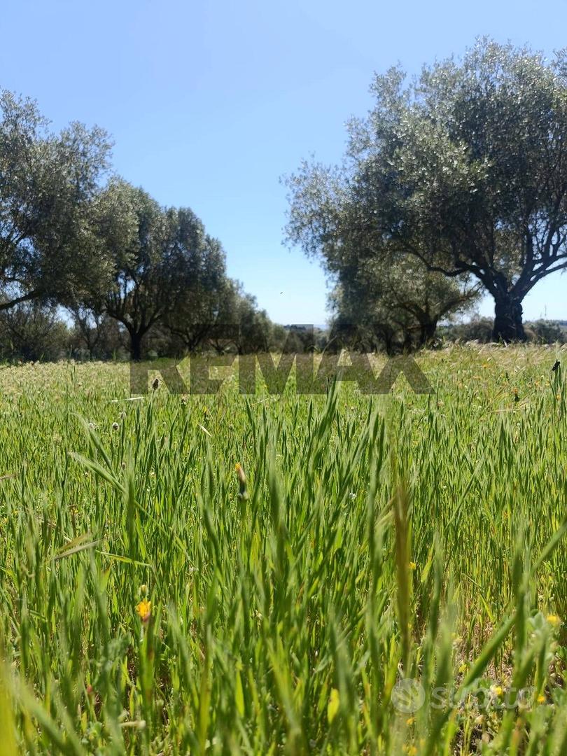 Terreno - Caltagirone - Vista 4