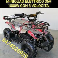 Miniquad elettrico 36V 800W 2020