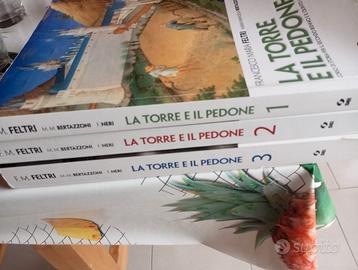 Libri di storia la Torre e il pedone