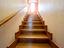 Immagine 22