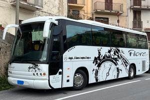 Autobus Domino 2001