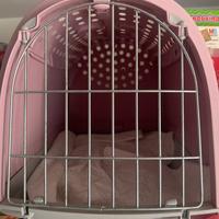 Traspotino gatto cane