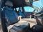 Immagine 14