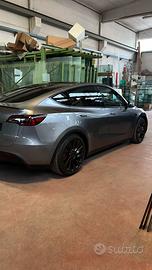 tesla y performance