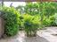 Immagine 19
