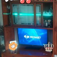 TV LG 44 pollici 