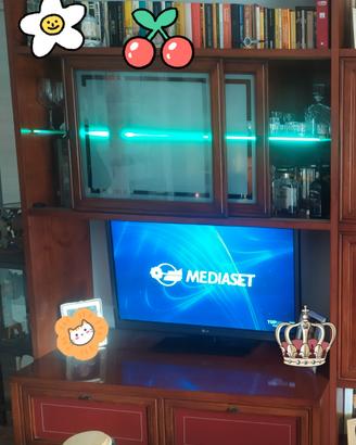 TV LG 44 pollici 