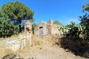 ter-agricolo-a-lucera