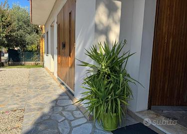 VILLA SINGOLA A MONTEGROTTO TERME