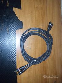 cavo professionale RCA monster