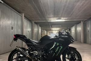 Kawasaki ninja 250r