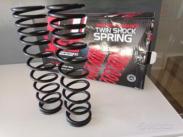 Molle ammortizzatori YSS