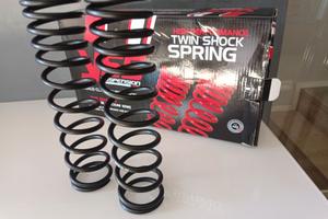 Molle ammortizzatori YSS