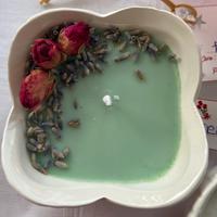 Candela botanica