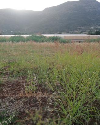 Terracina terreno agricolo mq.2.200San Silviano