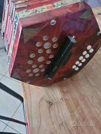 concertina in madreperla 