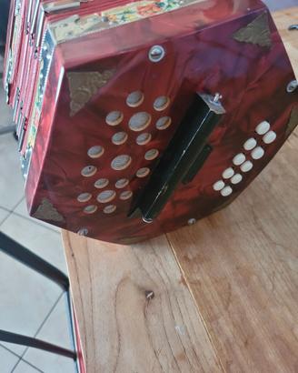 concertina in madreperla 