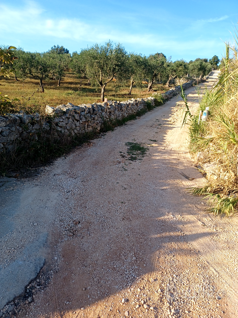 Terreno agricolo torretta ostunese uliveto - Altro