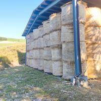 Fieno medica e maggengo 2025