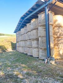 Fieno medica e maggengo 2025