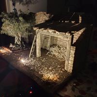 Presepe storico con illuminazione,albero di ulivo