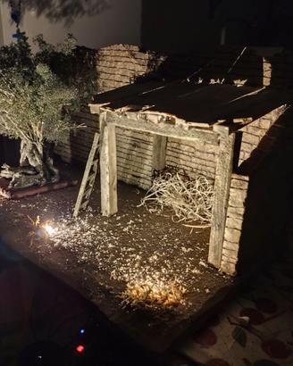 Presepe storico con illuminazione,albero di ulivo