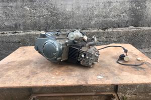Motore pitbike 110 monomarcia *non funzionante*