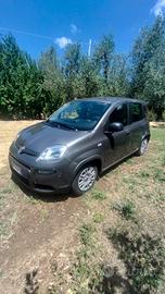 Fiat Panda Hybrid 