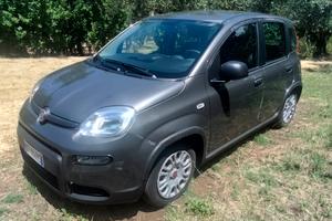 Fiat Panda Hybrid 