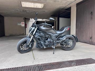 Benelli 502 C - 2019