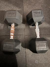 Dumbbell/manubri 20 kg