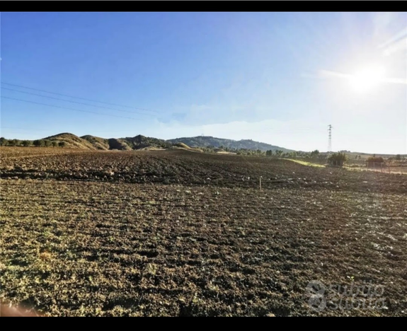 Azienda agricola con magazzino