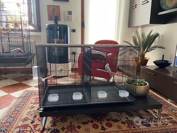 Ampia Gabbia doppia PawHut per uccelli –