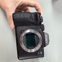 SONY A7SIII