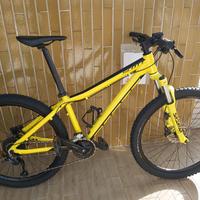 BICICLETTA SCOTT Scale 26 USATA 