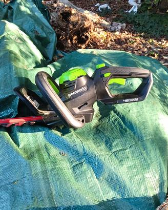 Tagliasiepi Greenworks 40v + batteria