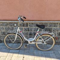 Bicicletta pieghevole da uomo