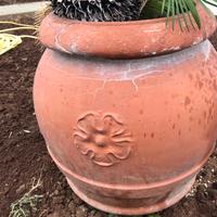 VASO GRANDE CON CYCAS