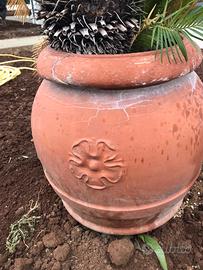 VASO GRANDE CON CYCAS