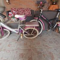 Coppia Biciclette