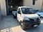 Immagine 6