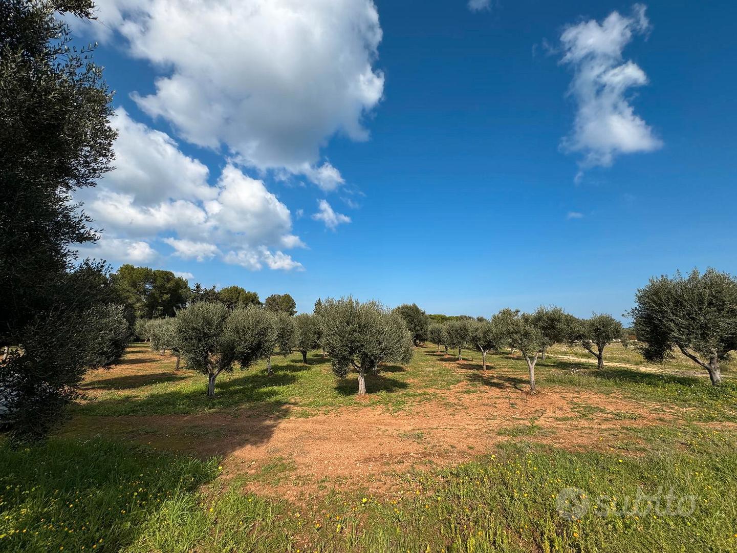 Terreno 5000 m²(+5000) - Vista 2